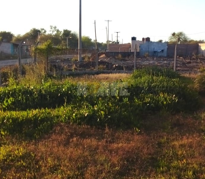 barrio.jpg