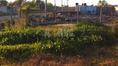 Redujeron y golpearon a un hombre por recibir sexo oral a la vista de todos