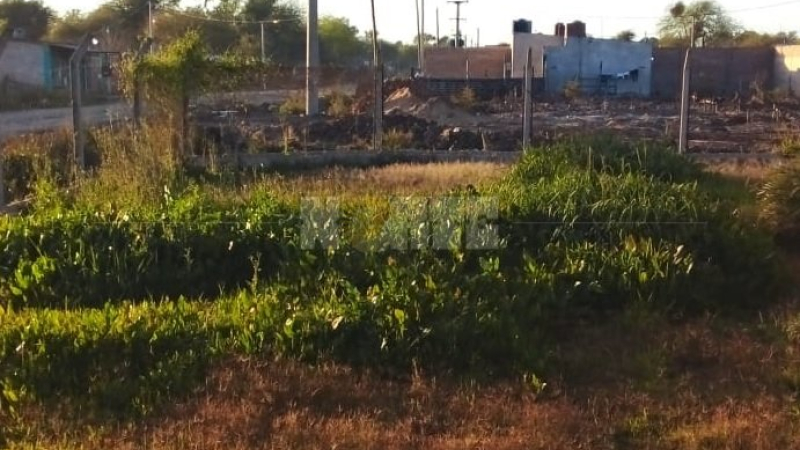 Redujeron y golpearon a un hombre por recibir sexo oral a la vista de todos