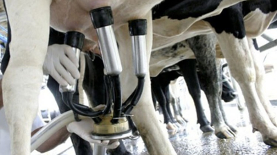 Industriales consideran que el precio de la leche debe bajar