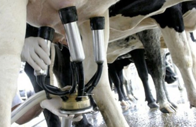 Industriales consideran que el precio de la leche debe bajar