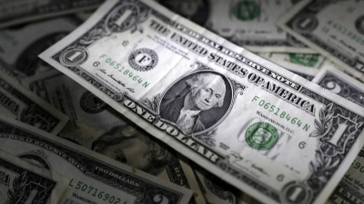 La motosierra en las provincias significó una poda de USD 14.000 millones