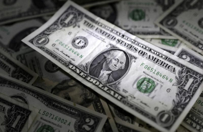 La motosierra en las provincias significó una poda de USD 14.000 millones