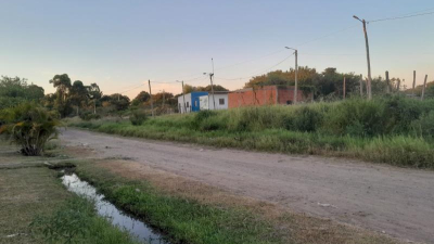 Barrio a oscuras: se robaron hasta las jirafas