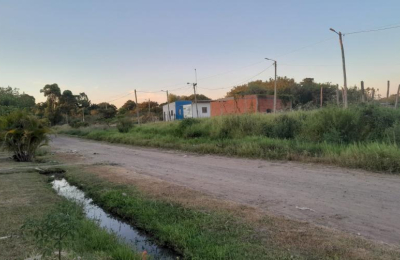 Barrio a oscuras: se robaron hasta las jirafas