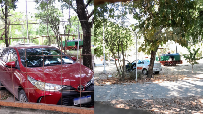 Vecina del Museo de Ciencias denuncia que autos estacionan sobre el espacio verde