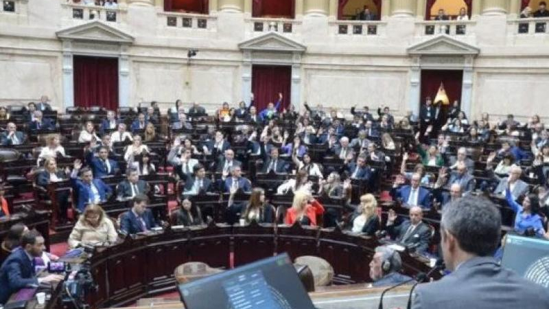 Pedrini: "El gobierno intenta llevarse por delante a la política, pero eso tiene un límite"