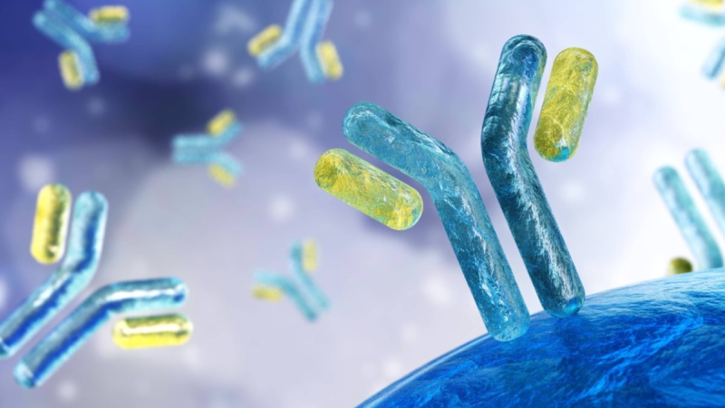 Una nueva esperanza en el tratamiento para el cáncer de pulmón