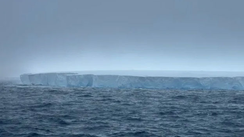 El iceberg más grande del mundo se estacionó cerca de las islas Georgias del Sur