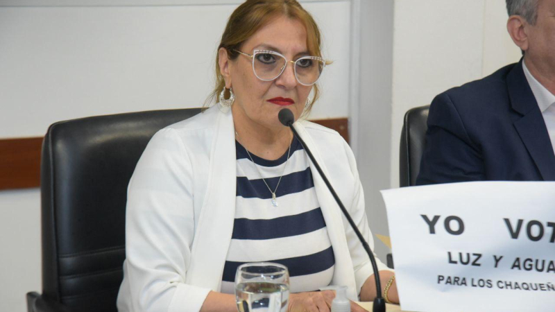 La diputada Bisonni desmintió compras direccionadas a un laboratorio