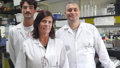 Identifican perfiles de neuroinflamación asociados a la progresión del Alzheimer