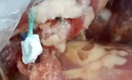 nor180325-023f03.jpg