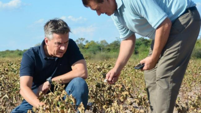 El gobierno declaró la emergencia agropecuaria por 180 días para el Chaco