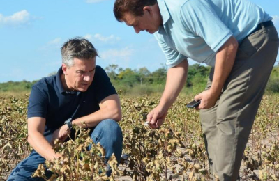 El gobierno declaró la emergencia agropecuaria por 180 días para el Chaco