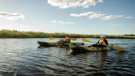 kayaks.jpg
