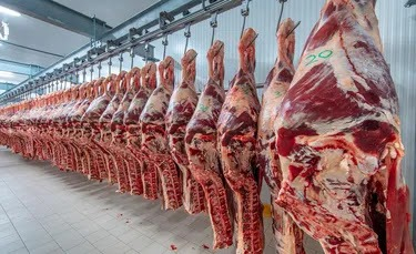 carnes.jpg