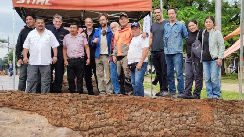 Escultores trabajan la madera en Sáenz Peña