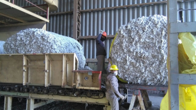 Comenzó un paro de actividades nacional en la industria del algodón