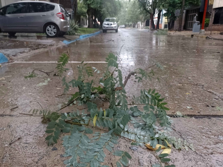 LLUVIA 4.JPG