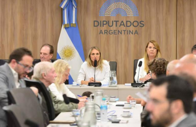 Cambios previsionales: proponen reforma integral, en lugar de proyectos legislativos