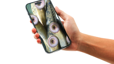 Tu smartphone es un parásito