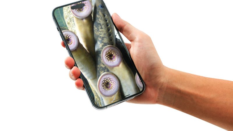 Tu smartphone es un parásito