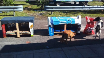Buscan reflotar la fabricación solidaria de cuchas para perros callejeros