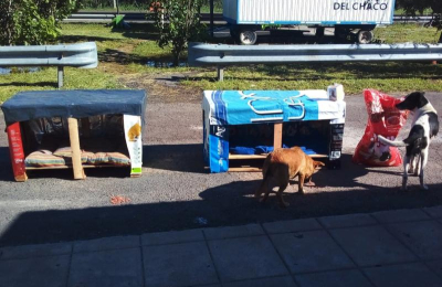 Buscan reflotar la fabricación solidaria de cuchas para perros callejeros