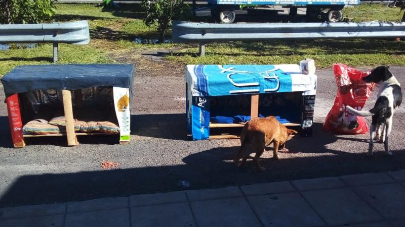 Buscan reflotar la fabricación solidaria de cuchas para perros callejeros