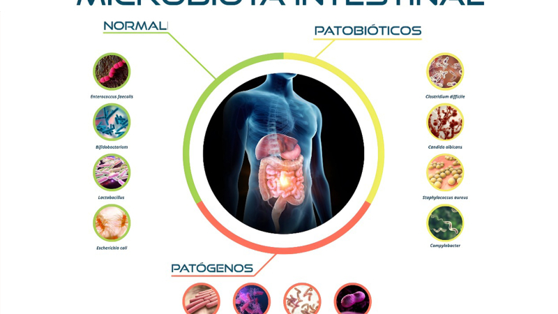 La clave que explica por qué las dietas no funcionan igual para todos