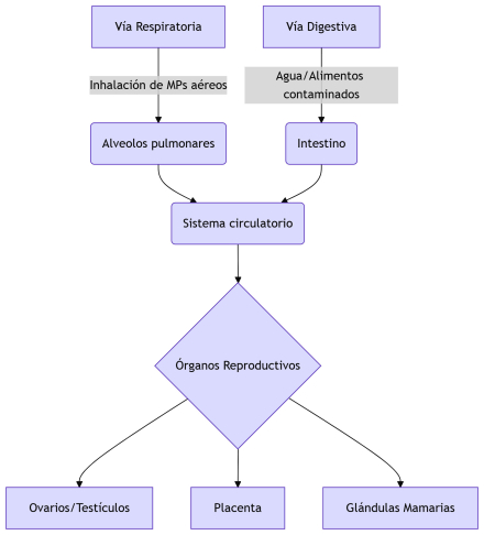 microplasticos-fluidos-hum3.jpg