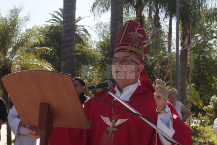 DOMINGO DE RAMOS (39).JPG