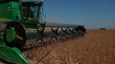 "El productor argentino no puede vivir del campo con esta política"