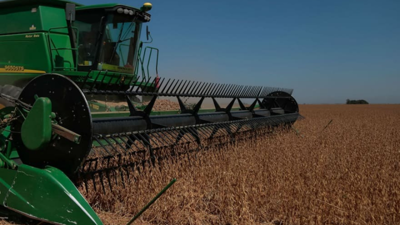 "El productor argentino no puede vivir del campo con esta política"