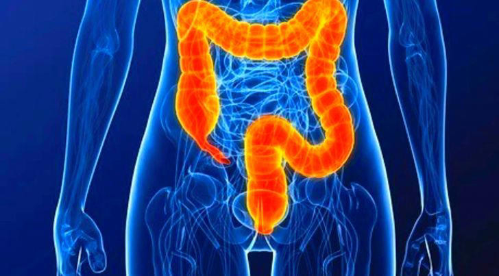 intestino.jpg