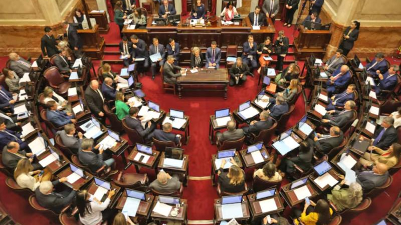 El Senado se prepara para rechazar los vetos de Milei a las leyes del Garrahan y las universidades