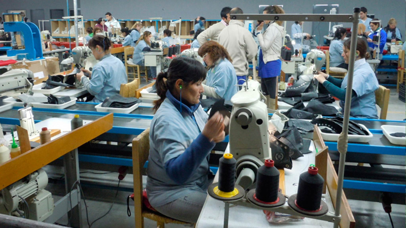Actividad económica: el NEA revirtió la racha negativa de 2024 y volvió a crecer 