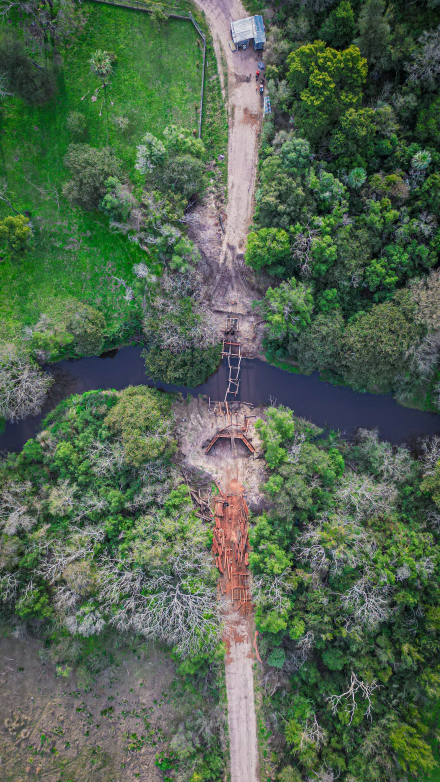puente 2.jpg