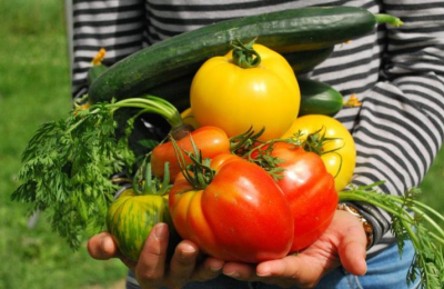 "Comer sano significa comer de todo, algo que puede guiar un profesional"
