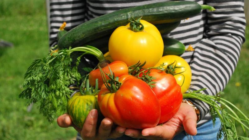 "Comer sano significa comer de todo, algo que puede guiar un profesional"