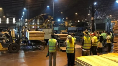 Corrientes: Forestadora Tapebicuá paralizó actividades