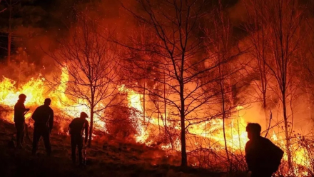incendios01.jpg