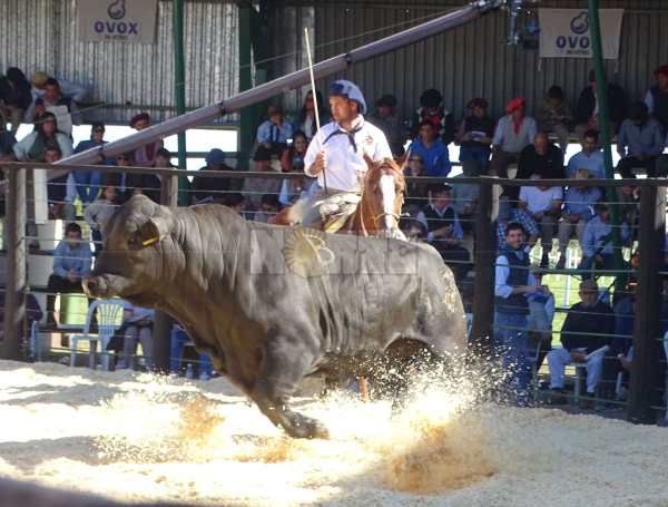 Foto: Fabian Maldonado.