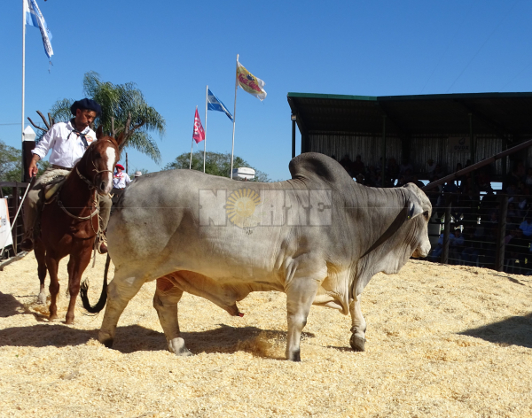 Foto: Fabian Maldonado.