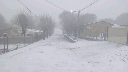 san-luis.jpg