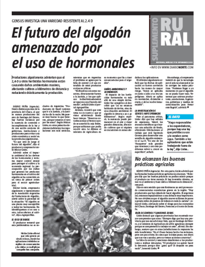 El futuro del algodón amenazado por el uso de hormonales
