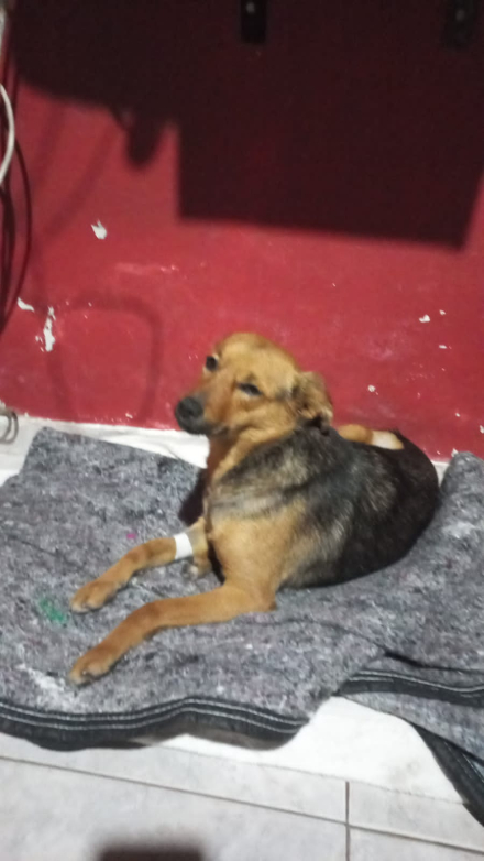 WhatsApp Image 2025-09-21 at 10.42.00 AM.jpeg