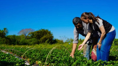 Silvana Schneider: "Acompañamos al que trabaja la tierra y genera futuro"
