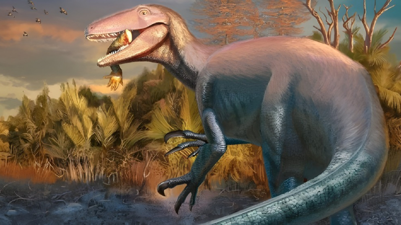 Descubren un dinosaurio carnívoro, de los últimos en extinguirse