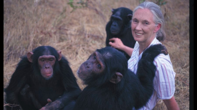 El fallecimiento de Jane Goodall